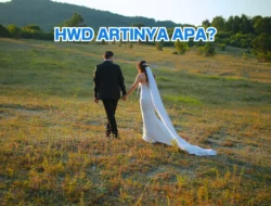 HWD Artinya, Selamat Menikah dan Kenali Ucapan dalam Bahasa Inggris Biar Gaul