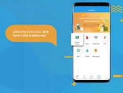 Cara Top Up OVO lewat Kredivo, Extra Mudah dan Pasti Berhasil