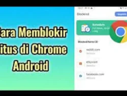 Berikut Cara Memblokir Situs di Chrome Android, Dengan atau Tanpa Aplikasi