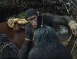 Nonton Kingdom of The Planet of The Apes Sub Indo Nonton di Mana? Link Legal Tersedia Bukan LK21