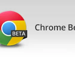Cara Melihat Versi Chrome, Pilih Sesuai Sistem Operasi Perangkatmu