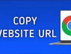 Cara Copy Web yang Tidak Bisa Dicopy Chrome Android, Dijamin Berhasil