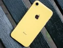 Cara Mendinginkan iPhone, Bisa Tanpa Aplikasi Pihak Ketiga