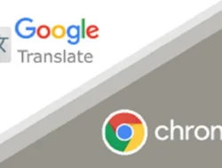 Cara Memunculkan Translate di Chrome, Mudah dan Praktis di Banyak Perangkat