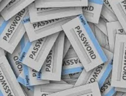 Cara Cek Password yang Tersimpan di Chrome, Mudah untuk semua Sistem Operasi