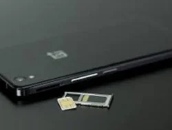 Cara Memindahkan File ke SD Card Xiaomi, Tak Perlu Aplikasi Pihak Ketiga