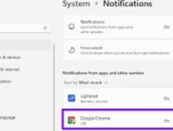 Cara Menonaktifkan Pemberitahuan Chrome, Mudah untuk Banyak Perangkat