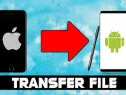 Cara Kirim Foto iPhone ke Android, Bisa lewat Email dan Medsos