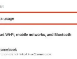 Cara Melihat Penggunaan Data di HP Xiaomi, Mudah dengan Fitur dan Menu