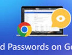 Cara Melihat Kata Sandi di Google Chrome, Penting Buat Yang Suka Lupa