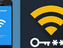 Cara Melihat Password WiFi yang Tersimpan di HP Xiaomi, Dijamin 100% Berhasil