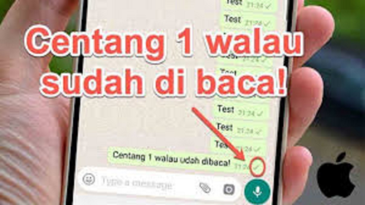 Cara membuat WhatsApp centang 1 di iPhone.