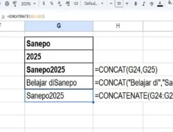 Cara Menggunakan Rumus CONCAT di Spreadsheet, Menampilkan dua Nilai dan Setara dengan Operator ‘&’