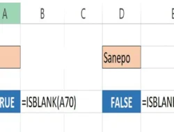 Cara Menggunakan Rumus ISBLANK di Excel untuk Memeriksa Apakah Sel Kosong atau Berisi Data