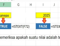Cara Menggunakan Rumus ISTEXT di Excel untuk Memeriksa Apakah Sel Berisi Teks atau Bukan