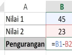 Rumus Pengurangan di Excel, Mengurangi Angka atau Bilangan Tertentu Dengan Mudah