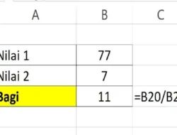 Rumus Pembagian di Excel, Contoh dan Cara Menggunakannya