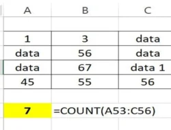 Cara Menggunakan Rumus COUNT di Excel Untuk Menghitung Jumlah Sel yang Berisi Angka