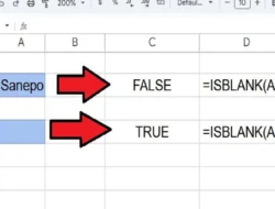 Rumus ISBLANK di Spreadsheet Untuk Memeriksa Apakah Suatu Sel Kosong (TRUE) atau Berisi Data (FALSE)