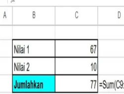Cara Menggunakan Rumus Penjumlahan di Spreadsheet, Contoh dan Cara penggunaannya!
