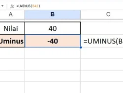 Cara Menggunakan Rumus UMINUS di Spreadsheet, Menampilkan Nilai dengan Tanda yang Dibalik