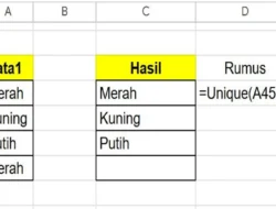 Cara Menggunakan Rumus UNIQUE di Spreadsheet untuk Mencari Data Unik Dalam Suatu Kumpulan Data