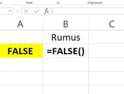 Cara Menggunakan Rumus FALSE di Excel, Menampilkan Nilai Logika False