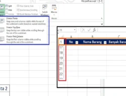 Cara Freeze di Excel, Membekukan 1 atau 2 Baris dan Kolom