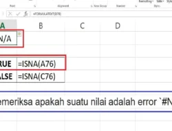 Cara Memeriksa ERROR #N/A Menggunakan Rumus ISNA di Excel
