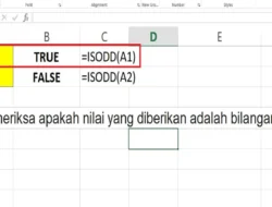 Cara Menggunakan Rumus ISODD di Excel untuk Memeriksa Nilai Disuatu Sel Apakah Ganjil atau Bukan