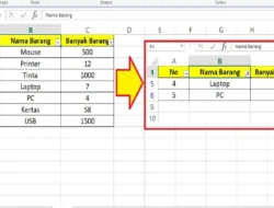 Cara Filter di Excel Berdasarkan Data Tertentu yang Dibutuhkan