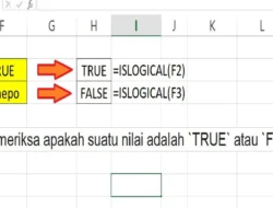 Cara Menggunakan Rumus ISLOGICAL di Excel untuk Memeriksa Nilai TRUE dan FALSE