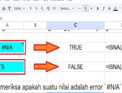 Cara Menggunakan Rumus ISNA di Spreadsheet Untuk Memeriksa Suatu Nilai Error #N/A