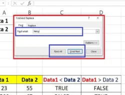 Cara Search di Excel, Mencari Data Menjadi Lebih Cepat dan Tepat