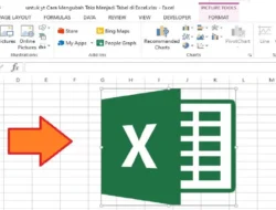 Cara Memasukan Foto di Excel, Menampilkan Gambar atau Foto di Sheet Dengan Cara Termudah