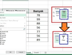 Cara Menghilangkan Filter di Excel, Menghapus Filter Melalui Tab Data