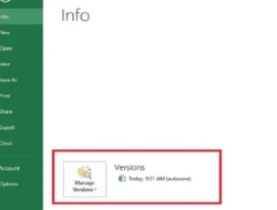 Cara Melihat History Excel, Perubahan Version dari AutoSave Excel