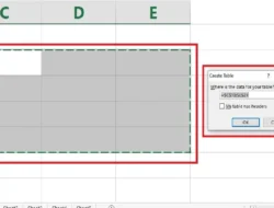 Bagaimana Cara Membuat Tabel di Excel, Berikut Penjelasan dan Langkah-Langkahnya
