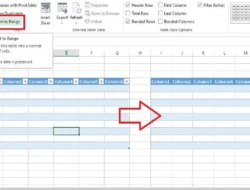 Cara Menghapus Format Tabel di Excel, Tabel Berformat Menjadi Tabel Biasa