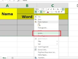 Cara Menghapus Tulisan di Excel, Teks atau Data Tertentu Bisa Dihapus Dengan Mudah