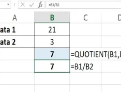 2 Cara Menghitung Pembagian di Excel
