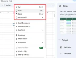 Cara Menyalin Copy dan Menempel Paste di Spreadsheet, Berikut Penjelasannya!
