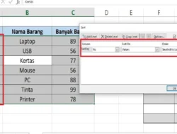 Cara Mengurutkan Angka di Excel, Semua Data Akan Secara Otomatis Diurutkan