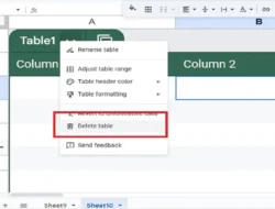 Cara Hapus Tabel Spreadsheet, Tips Termudah untuk Menghapus Tabel di Spreadsheet / Google Sheet