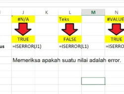Cara Menggunakan Rumus ISERROR di Excel Untuk Memeriksa Apakah Suatu Nilai Adalah Error