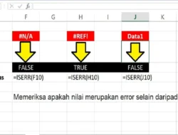 Cara Menggunakan Rumus ISERR di Excel, Memeriksa Nilai yang ERROR dengan Keterangan TRUE dan FALSE