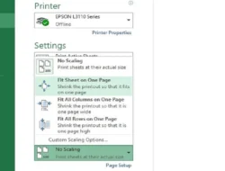 Cara Print Area di Excel, Semua Bagian Data Bisa Dicetak Dengan Rapi Tidak Terpotong