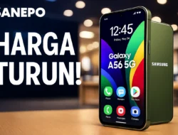 Makin Terjangkau, Cek Harga Terbaru Samsung Galaxy A56 5G per Oktober