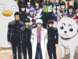 Link Nonton Gintama: Mr Ginpachi’s Zany Class Episode 10 Sub Indo, Takasugi Beraksi Kembali!