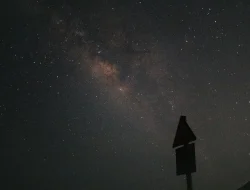 Bukan Versi Baru, Ini GCam & Config Paling Stabil untuk Vivo Y12s